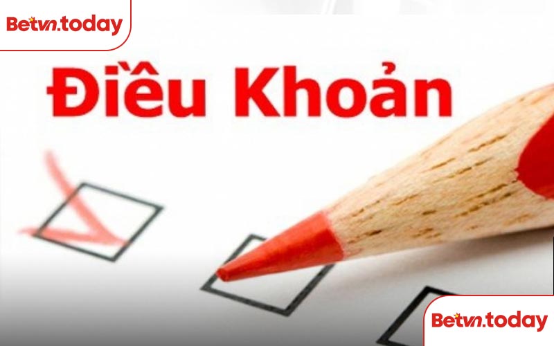 Điều khoản tại BETVN là gì?